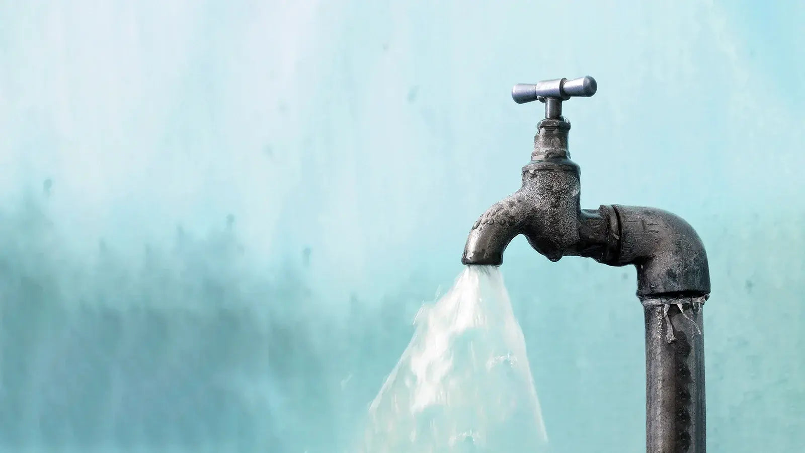 Protecting Your Family from Lead in Water