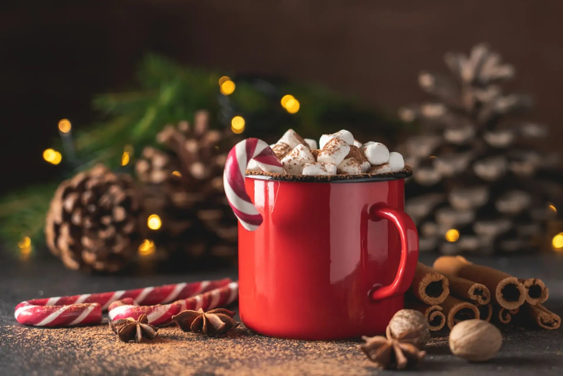 AquaTru’s Hot Cocoa Recipes: Vegan Delight & Classic Comfort!