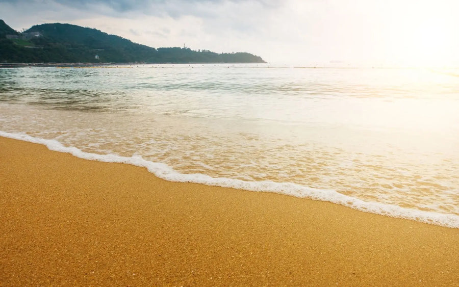 AquaTru Gives Back: Protecting Clean Water and Healthy Beaches